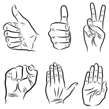 various hand gestures vector drawing