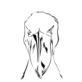 shoebill line art vector image