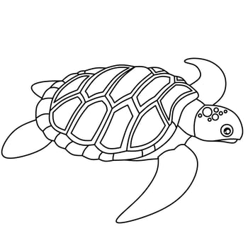 turtle vector image for coloring book