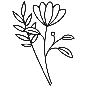 Floral branch hand drawn with leaves and flowers png