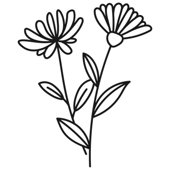 Floral branch hand drawn with leaves and flowers png