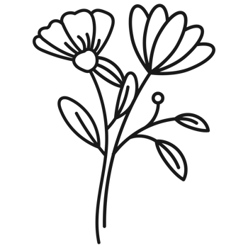 Floral branch hand drawn with leaves and flowers png
