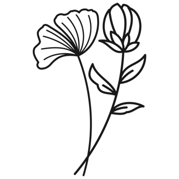 Floral branch hand drawn with leaves and flowers png