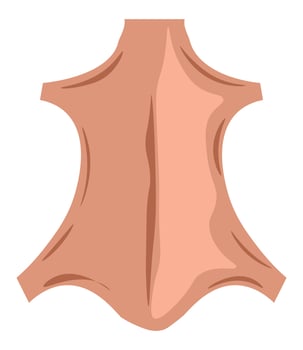 Genuine leather, mammal skin of animal farming vector