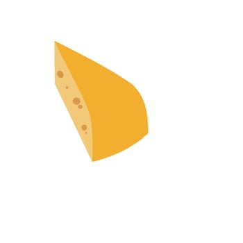 cheese mozzarella dairy illustration vector