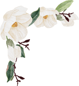 watercolor white magnolia flower and leaf bouquet clipart png