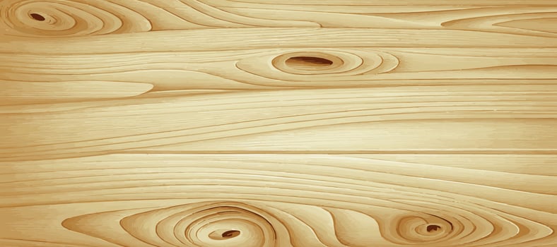 Panoramic texture of light wood with knots - Vector