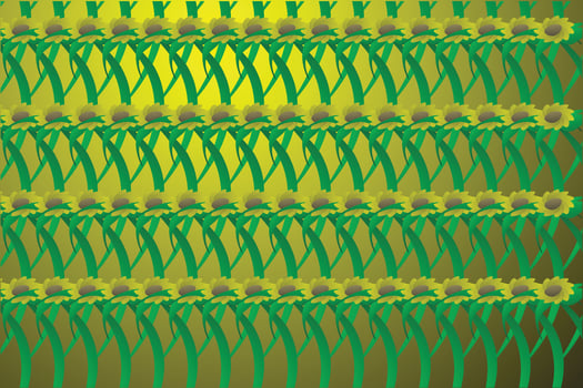 Modern abstract background of nature with sun flower vector