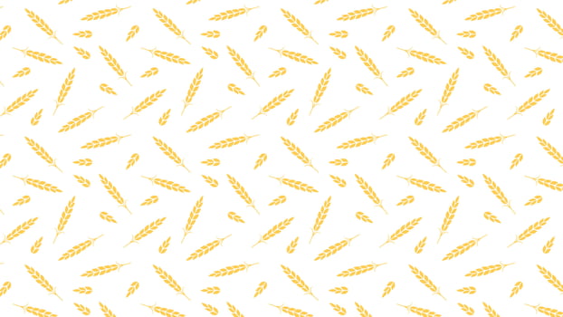 Wheat pattern wallpaper. oat symbol. free space for text. rice sign. Rice pattern wallpaper. vector