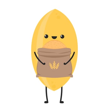 Rice character design. rice vector on white background. rice seed. Wheat vector.