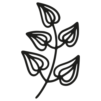 Abstract floral element shape on Transparent Background png