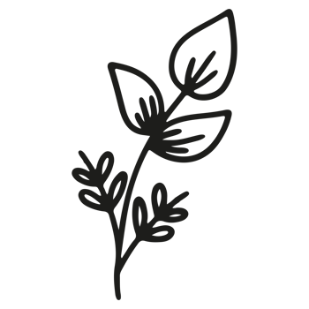 Abstract floral element shape on Transparent Background png