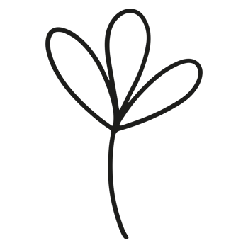 Abstract floral element shape on Transparent Background png