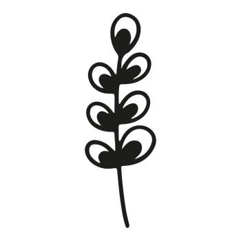 Abstract floral element shape on Transparent Background png
