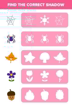 Education game for children find the correct shadow silhouette of cute cartoon spider web maple leaf flower acorn printable nature worksheet vector