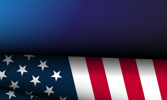 USA Flag 11 vector