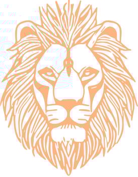 Lion Line Art vector