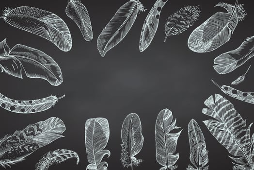 Set Realistic sketch of bird feather on chalkboard background. Detailed ink Line pen Clip Art, Black and White Boho Clipart. Hand Drawn engraving style plume. Vintage Vector Illustration.