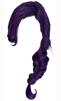 trendy women hairs purple . plait .  fashion beauty style . vector