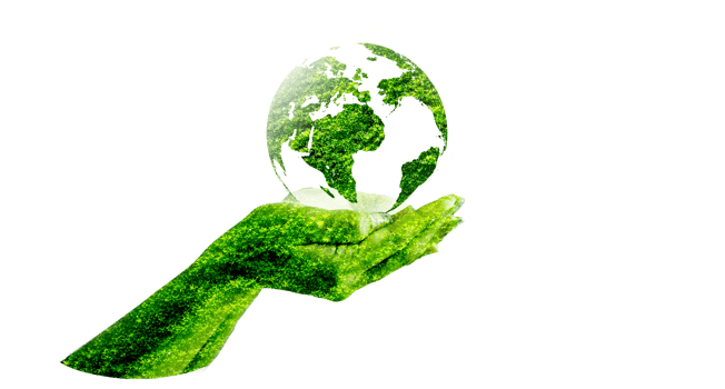 Green globe inside concept  protecting the environment and nature on transparent background PNG file