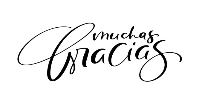 Thank you vector lettering text in spanish Muchas Gracias. Hand drawn phrase. Handwritten modern brush calligraphy for invitation and greeting card, t-shirt, prints and posters