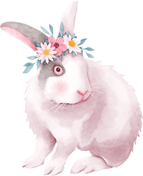 Easter bunny with daisy flowers png