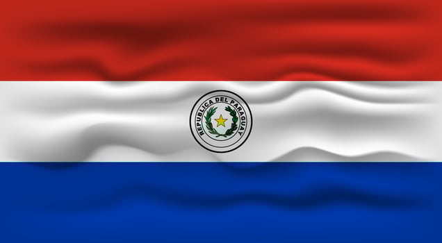 Waving flag of the country Paraguay. Vector illustration.