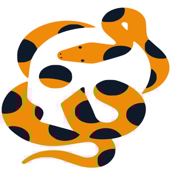 Beautiful vector art and graphics