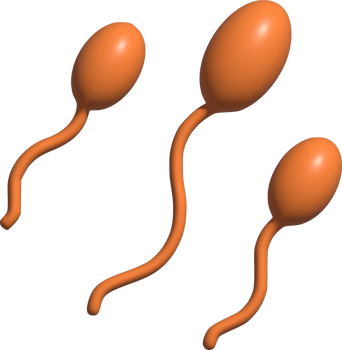 3d illustration of sperm png