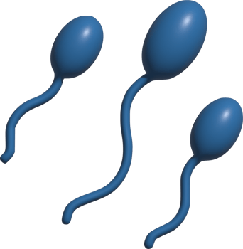3d illustration of sperm png