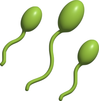 3d illustration of sperm png