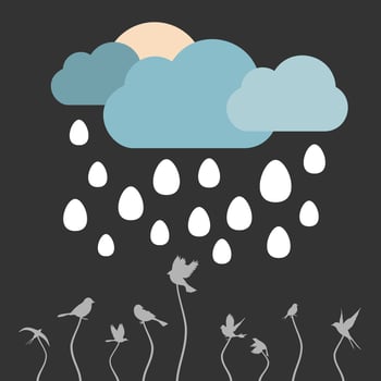 Rain from eggs on birds. A vector illustration