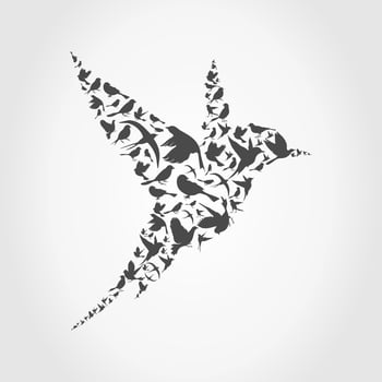 Bird made of birds. A vector illustration