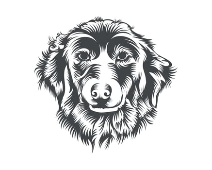 Australian Shepherd Dog Face Black and White Vector