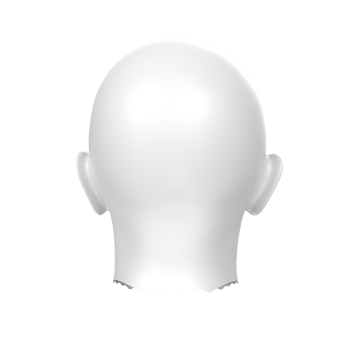 3D Rendering Of Human Bust png