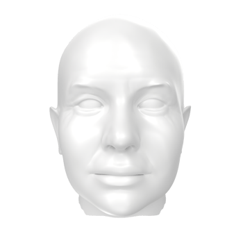 3D Rendering Of Human Bust png