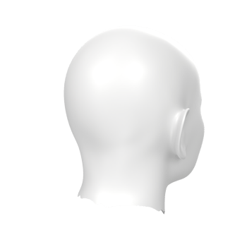 3D Rendering Of Human Bust png