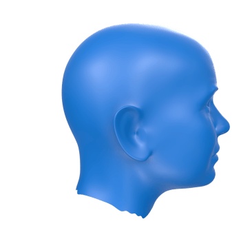 3D Rendering Of Human Bust png