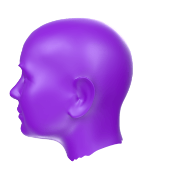 3D Rendering Of Human Bust png