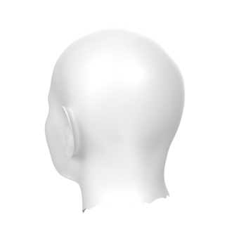 3D Rendering Of Human Bust png