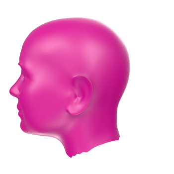 3D Rendering Of Human Bust png