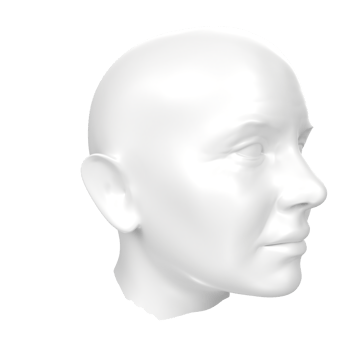 3D Rendering Of Human Bust png