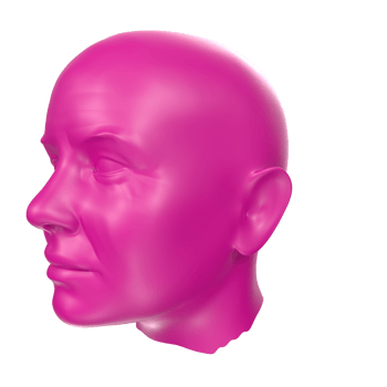 3D Rendering Of Human Bust png