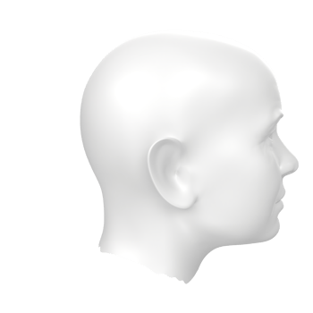 3D Rendering Of Human Bust png