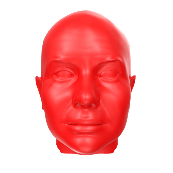 3D Rendering Of Human Bust png