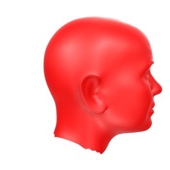 3D Rendering Of Human Bust png