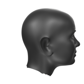 3D Rendering Of Human Bust png