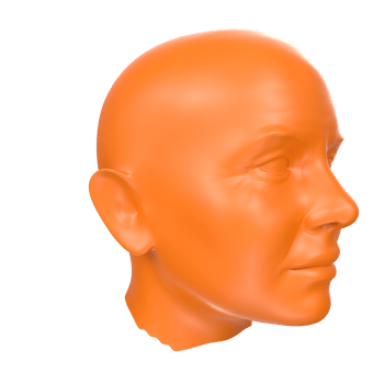 3D Rendering Of Human Bust png