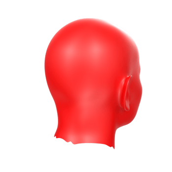 3D Rendering Of Human Bust png