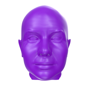 3D Rendering Of Human Bust png